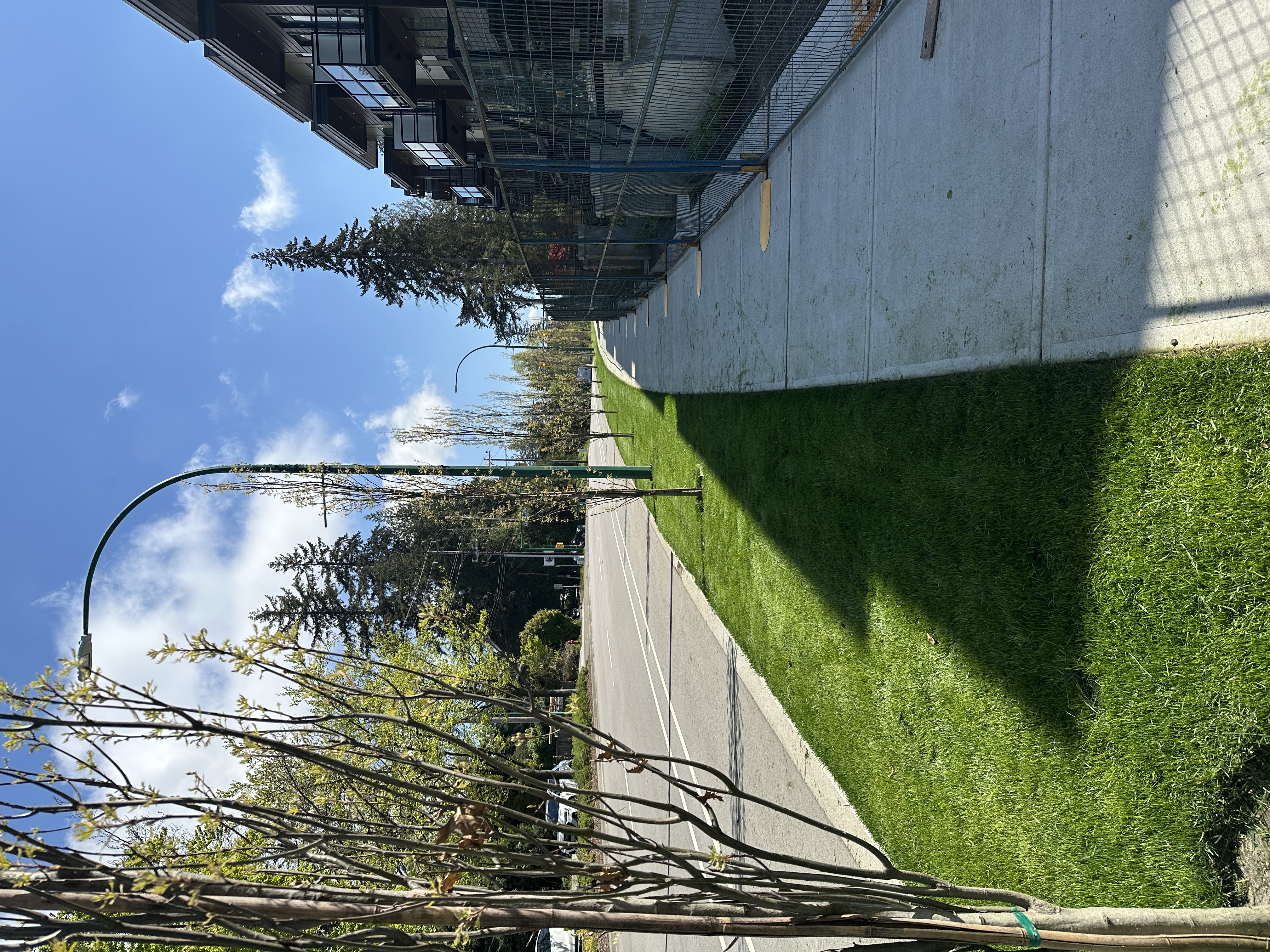 Boulevard grass strip after mowing