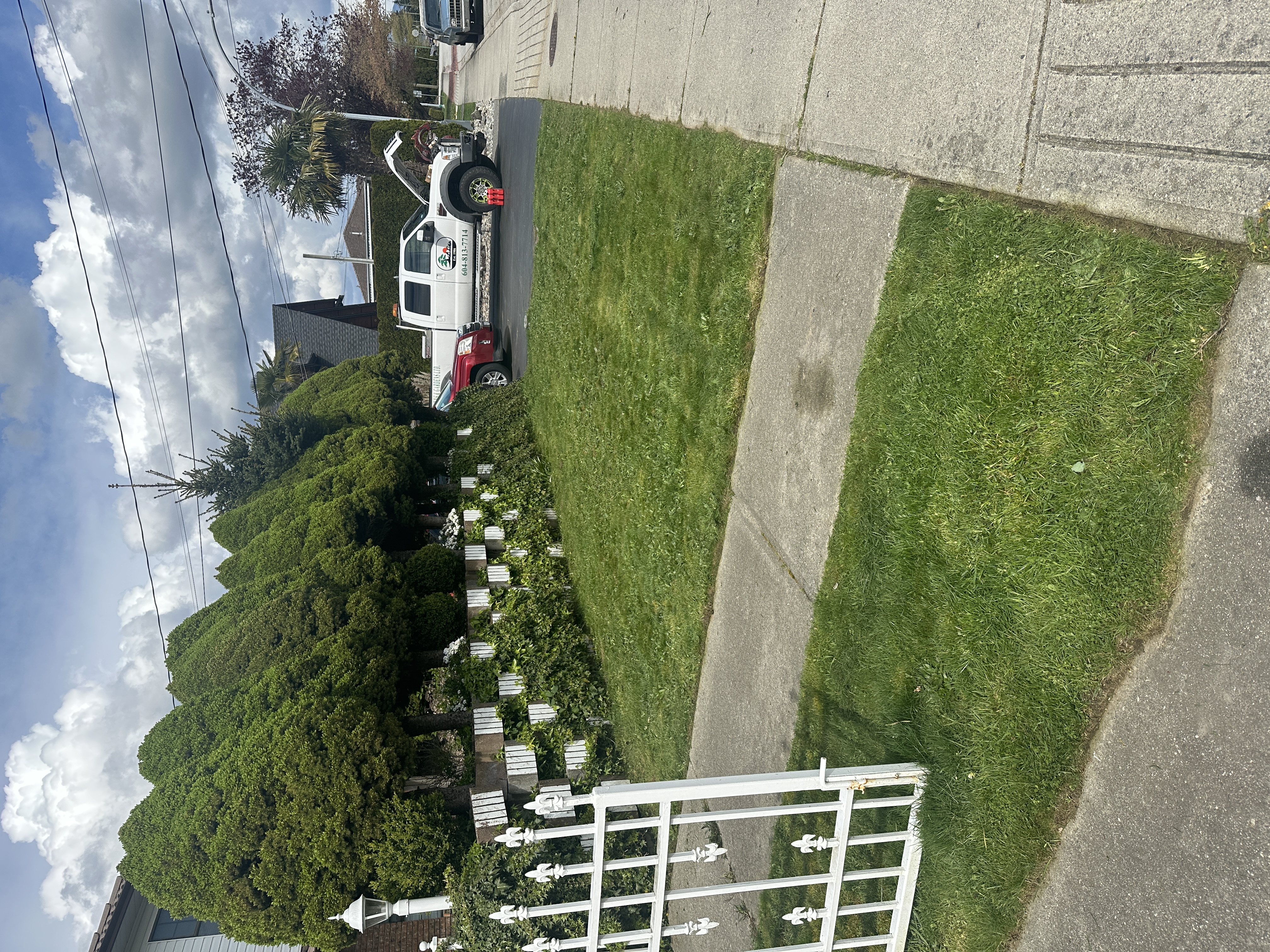 Front lawn after mowing