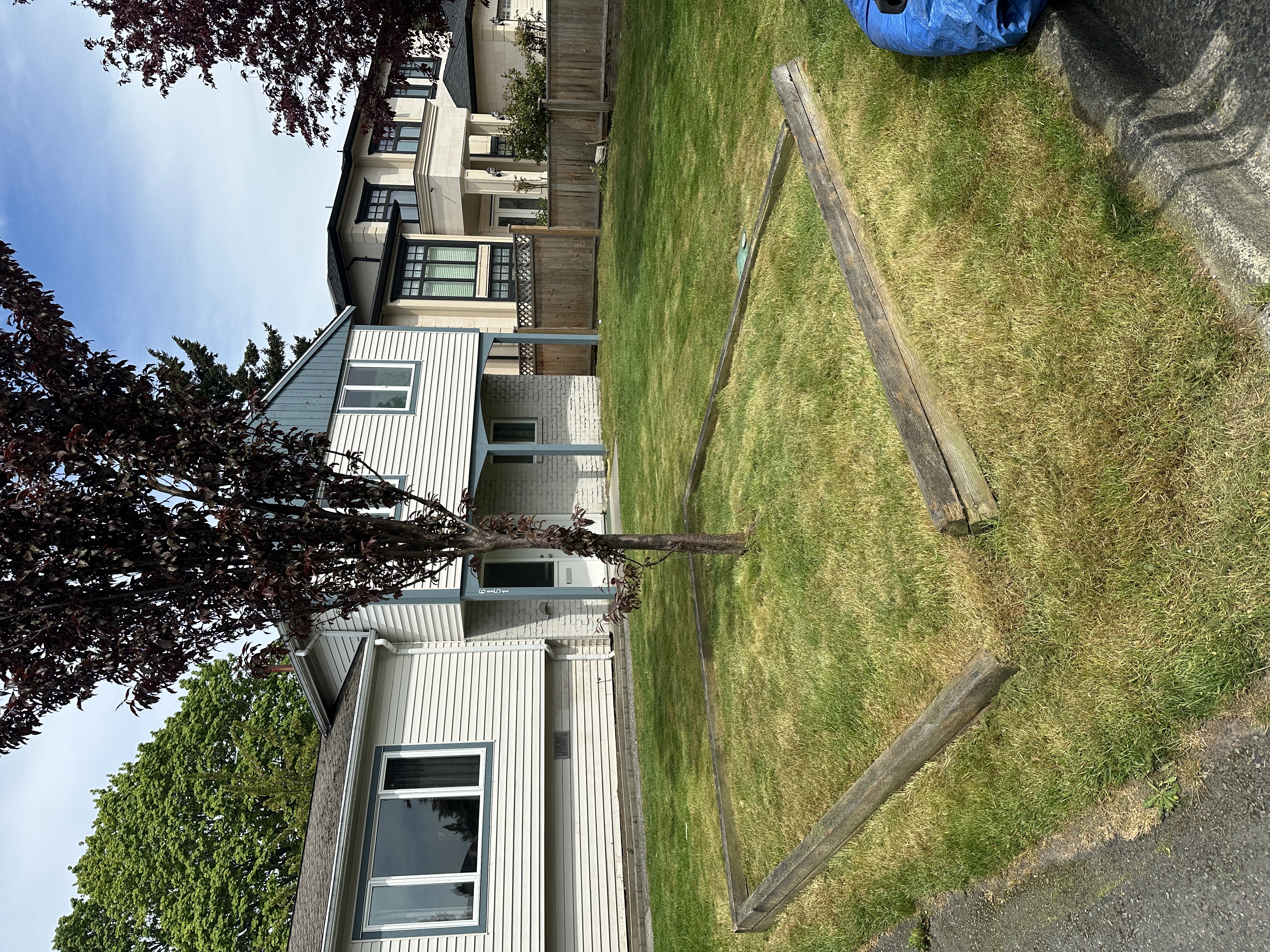Front yard after mowing and cleanup