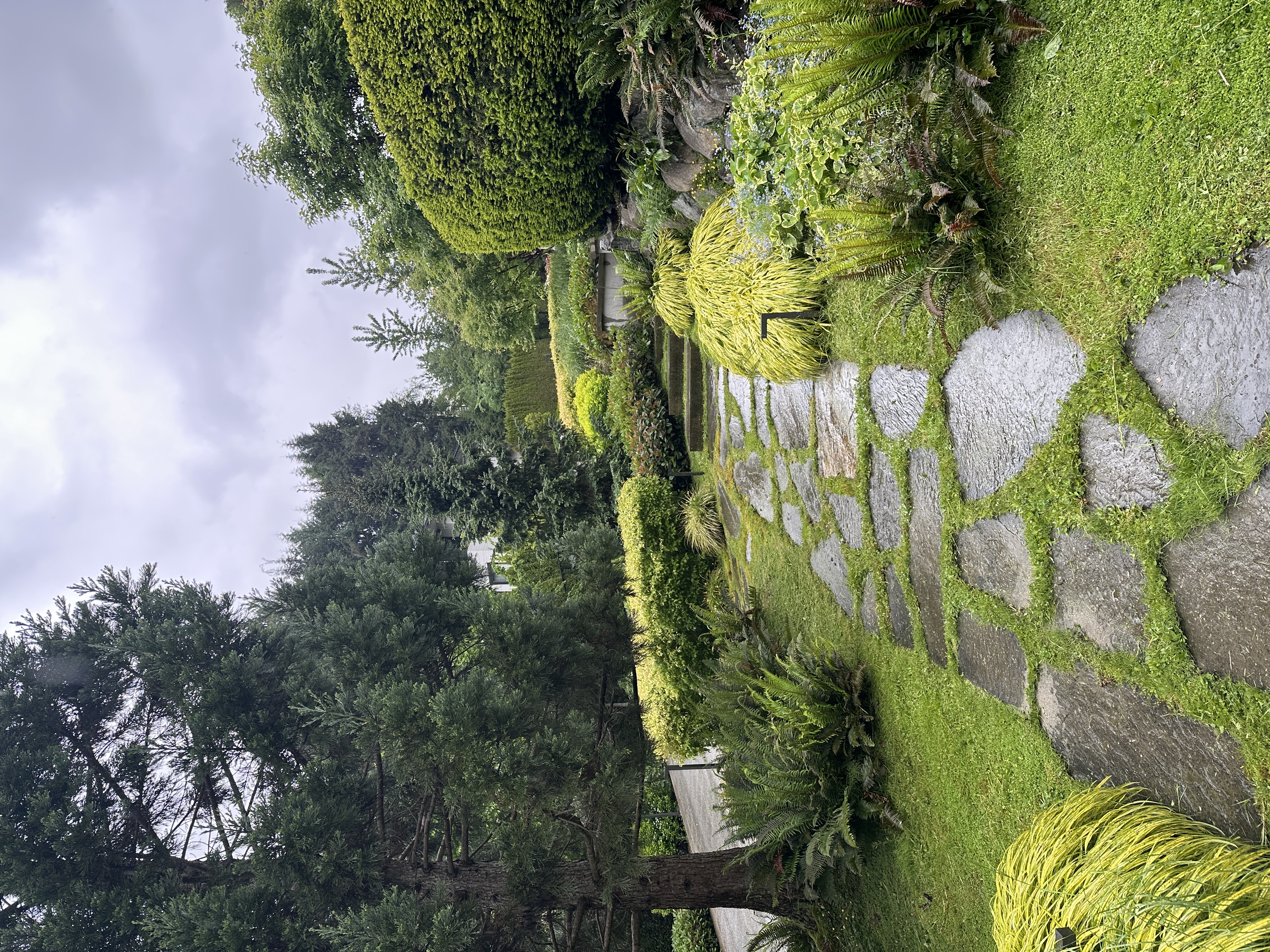 Garden path after weeding