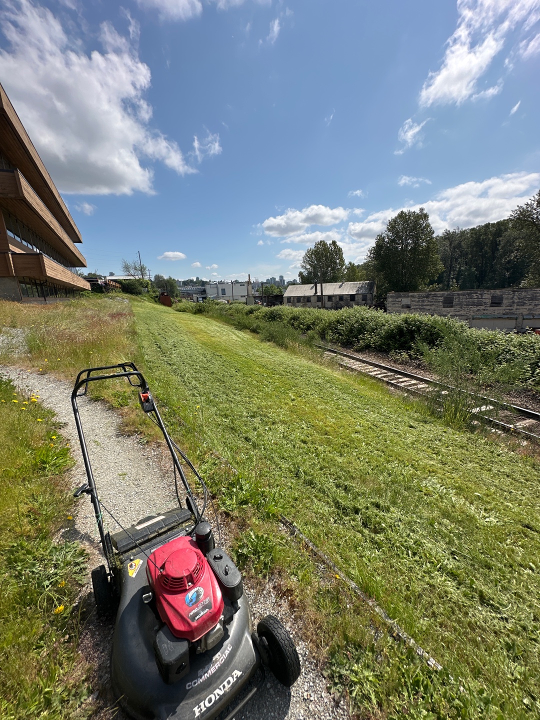 Freshly mowed lawn with a mower on site