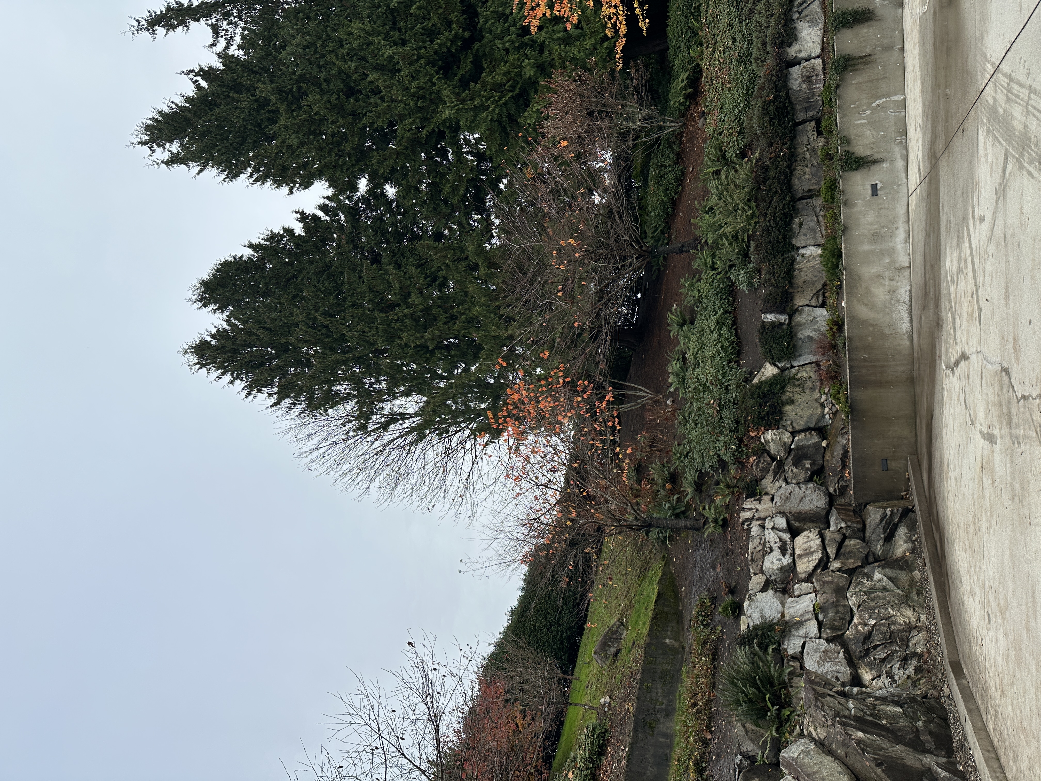 Cleaned garden edge after leaf cleanup